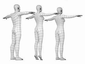 Femmina e maschio naturali nella maglia base T-Pose Modello 3D