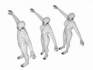 Femmina e maschio naturali nella maglia base T-Pose Modello 3D