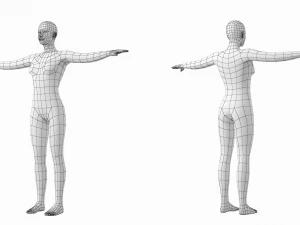 Femmina e maschio naturali nella maglia base T-Pose Modello 3D