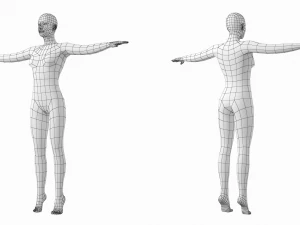 Femmina e maschio naturali nella maglia base T-Pose Modello 3D