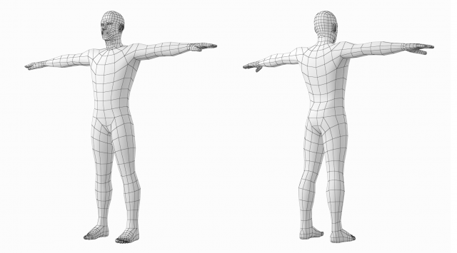 Natural Female And Male In T Pose Base Mesh 3d Model In Woman 3dexport 6480