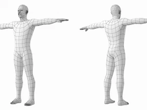 Femmina e maschio naturali nella maglia base T-Pose Modello 3D