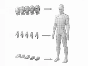 5 टोपोलॉजी में विश्राम मुद्रा में प्राकृतिक पुरुष 3D मॉडल