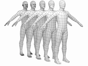 自然男性的 A 式 5 种拓扑结构 3D 模型