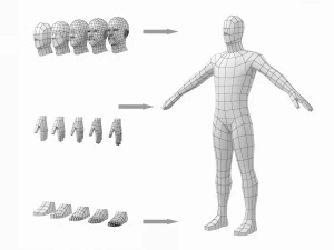 5 टोपोलॉजी में ए-पोज़ में प्राकृतिक पुरुष 3D मॉडल
