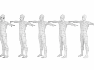 Maschio naturale nella posa T in 5 topologie Modello 3D