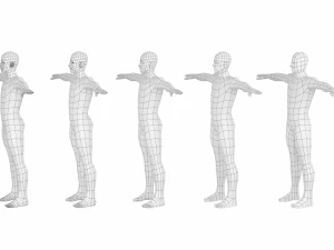 Maschio naturale nella posa T in 5 topologie Modello 3D