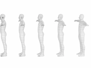 Maschio naturale nella posa T in 5 topologie Modello 3D