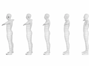 Maschio naturale nella posa T in 5 topologie Modello 3D