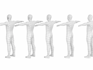 Maschio naturale nella posa T in 5 topologie Modello 3D