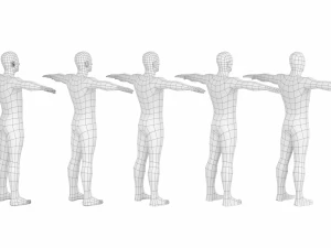 Maschio naturale nella posa T in 5 topologie Modello 3D