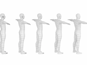 Maschio naturale nella posa T in 5 topologie Modello 3D