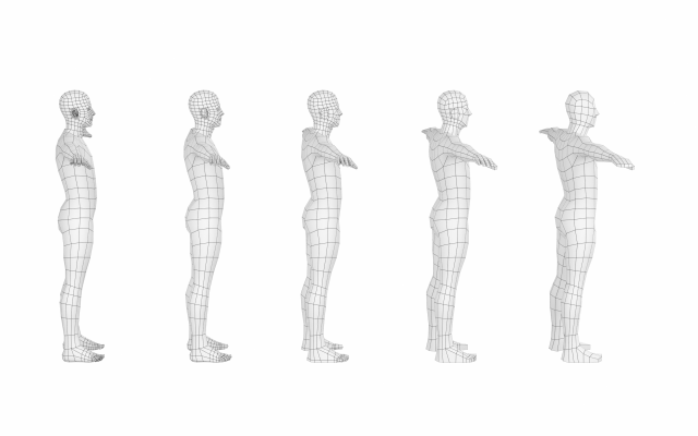 Character Creator 4 Online Manual - Universal T-pose Editing Feature