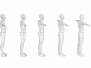 Maschio naturale nella posa T in 5 topologie Modello 3D