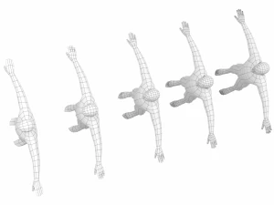Maschio naturale nella posa T in 5 topologie Modello 3D