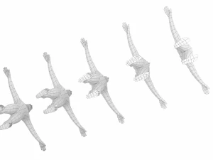 Maschio naturale nella posa T in 5 topologie Modello 3D