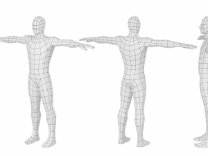 Maschio naturale nella posa T in 5 topologie Modello 3D