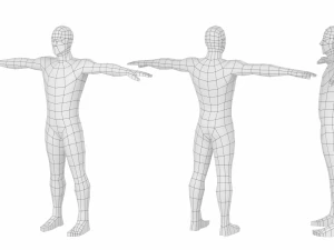 Maschio naturale nella posa T in 5 topologie Modello 3D