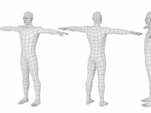 Maschio naturale nella posa T in 5 topologie Modello 3D