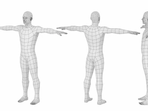 Maschio naturale nella posa T in 5 topologie Modello 3D