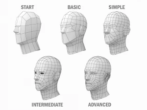 Maschio naturale nella posa T in 5 topologie Modello 3D