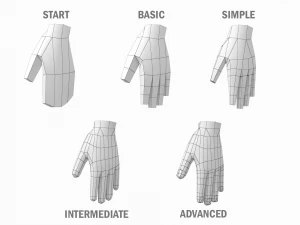Maschio naturale nella posa T in 5 topologie Modello 3D