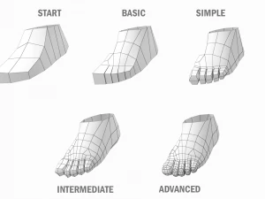 Maschio naturale nella posa T in 5 topologie Modello 3D
