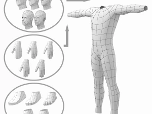 Maschio naturale nella posa T in 5 topologie Modello 3D