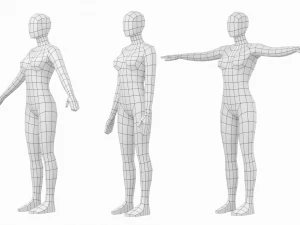 Femmina naturale in 3 pose di modellazione Base Mesh Modello 3D