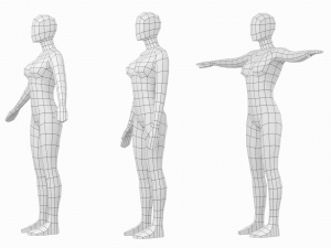 Natural Female in In 3 Modeling Poses Base Mesh 3D Model