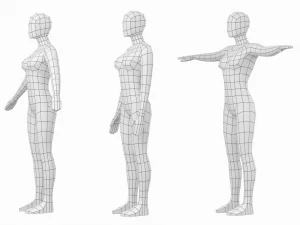 Femmina naturale in 3 pose di modellazione Base Mesh Modello 3D