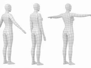 Femmina naturale in 3 pose di modellazione Base Mesh Modello 3D