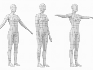 Natural Female in In 3 Modeling Poses Base Mesh 3D Model