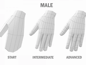 Natural Female and Male Base Mesh SUPER BUNDLE 3D Model