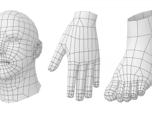 Male Hero in Three Poses Base Mesh 3D Model