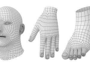 Male Hero in Three Poses Base Mesh 3D Model