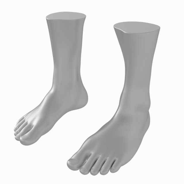 Male Realistic Feet Base Mesh Modelo 3D .c4d .max .obj .3ds .fbx .stl .blend 