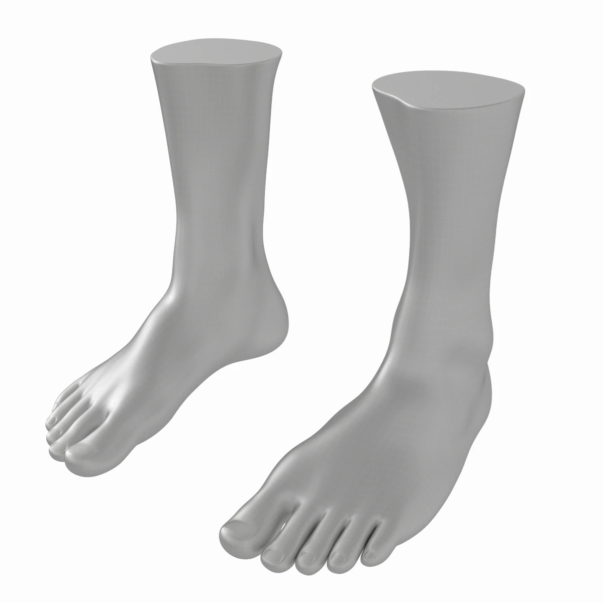 Male Realistic Feet Base Mesh 3D Model .c4d .max .obj .3ds .fbx .stl .blend 