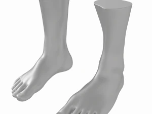 Malla de base de pies realistas masculinos Modelo 3D
