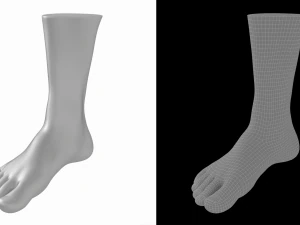 Male Realistic Feet Base Mesh 3D Model