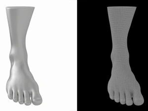 Male Realistic Feet Base Mesh 3D Model