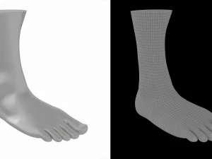 Male Realistic Feet Base Mesh 3D Model