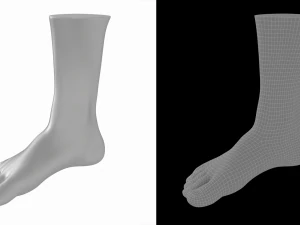 Male Realistic Feet Base Mesh 3D Model