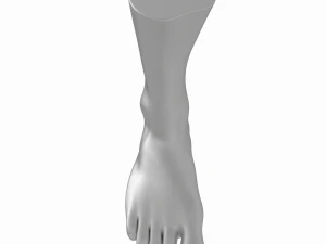 Male Realistic Feet Base Mesh 3D Model
