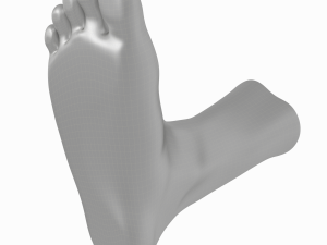 Male Realistic Feet Base Mesh Modelo 3D