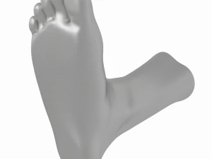 Male Realistic Feet Base Mesh 3D Model