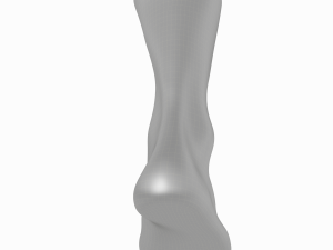 Male Realistic Feet Base Mesh Modelo 3D