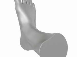 Male Realistic Feet Base Mesh 3D Model