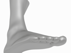 Male Realistic Feet Base Mesh Modelo 3D
