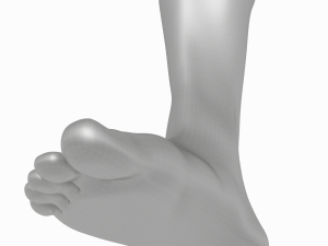 Male Realistic Feet Base Mesh Modelo 3D